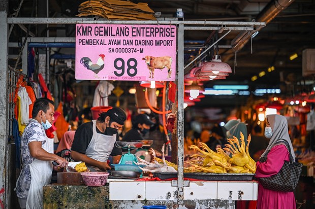 Malaysia halts chicken exports from June 1 hinh anh 1