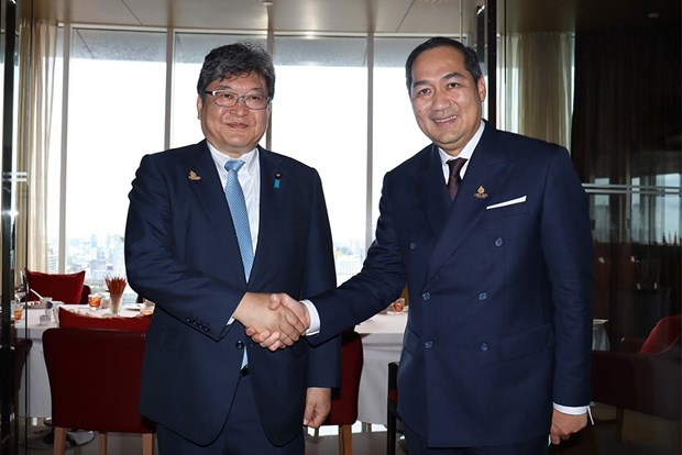 Indonesia, Jepang bahas pembangunan ekonomi regional Hinh Anh 1