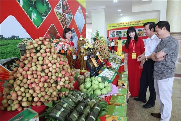 Bac Giang promotes litchi sales at home and abroad hinh anh 2