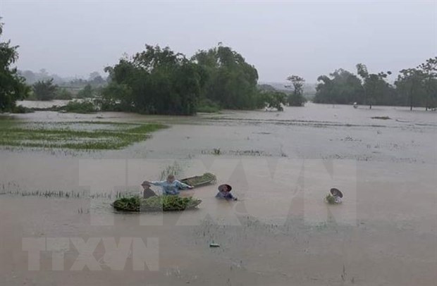 Rains to continue in northern mountainous region hinh anh 1