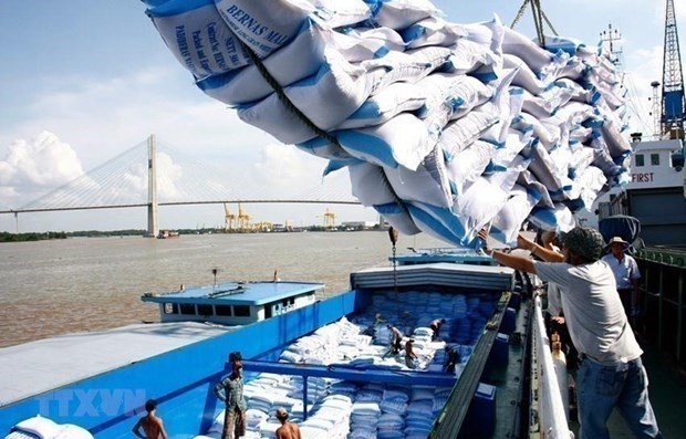 Mekong Delta eyes larger premium-quality rice areas to boost exports hinh anh 1