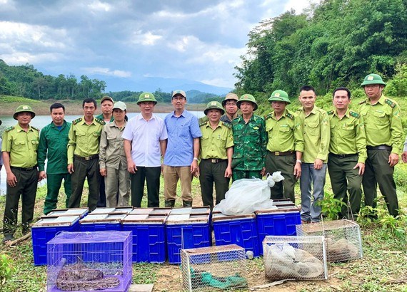 56 wild animals released to nature hinh anh 1