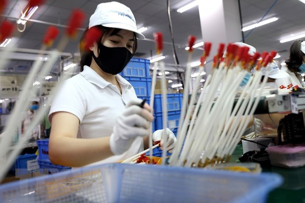 Vietnam facilitates long-term operations of foreign firms: Spokeswoman hinh anh 1
