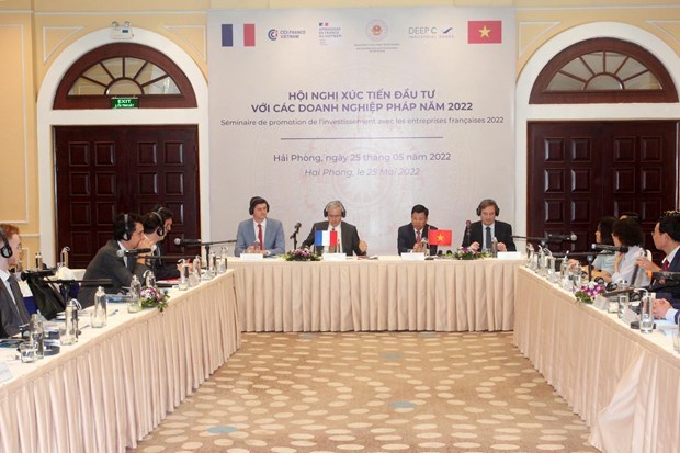 Hai Phong promotes investment from French enterprises hinh anh 1