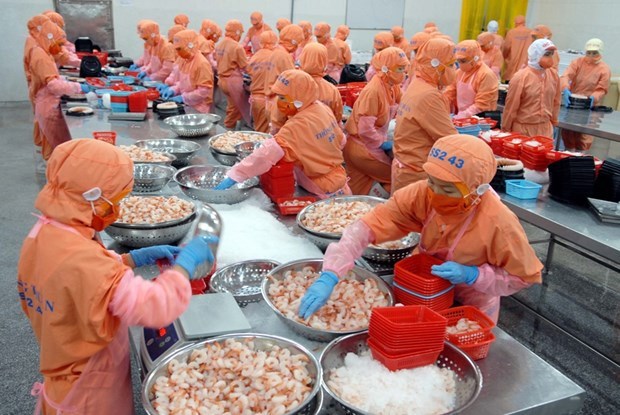 Vietnamese export increases in both quantity, quality hinh anh 1