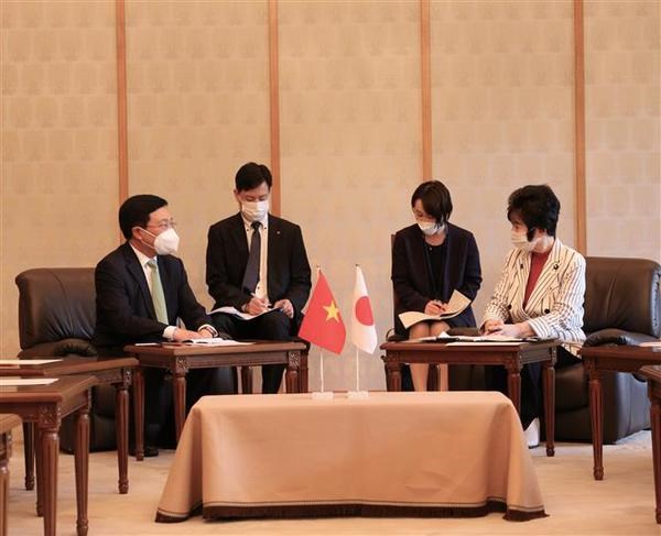 Deputy PM calls for more Japanese investment in Vietnam hinh anh 1