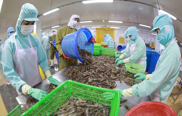 Vietnam’s seafood exports enjoy strong surge despite challenges hinh anh 1