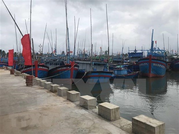 Vietnam to have 184 fishing ports by 2050: draft plan hinh anh 1