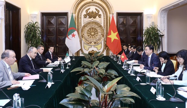 Vietnam, Algeria agree on measures to foster cooperation hinh anh 1