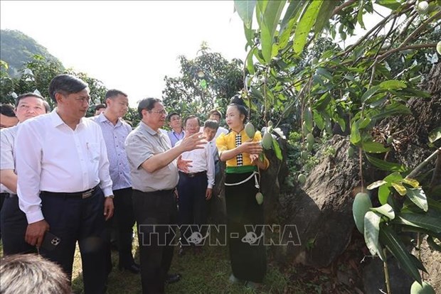 PM makes field trip to major projects in Son La hinh anh 1
