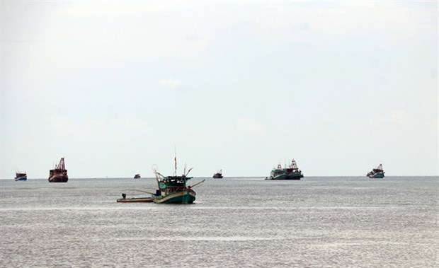 Ca Mau equips all offshore fishing boats with monitoring device hinh anh 1