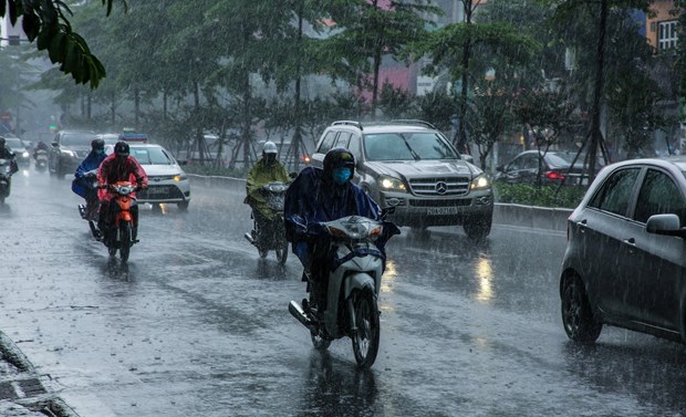 Heavy rains forecast to continue in northern localities hinh anh 1