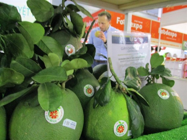 Vietnam shows potential for fruit exports to US hinh anh 1