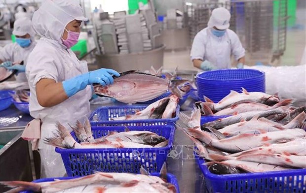 Fishery export declines in May hinh anh 1