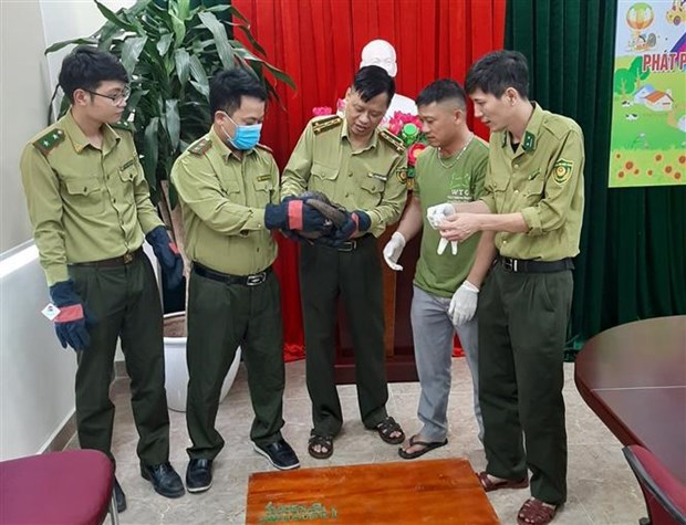 Two endangered animals handed over to national park hinh anh 2