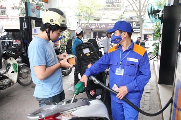 NA deputies discuss curbing petrol prices, settling bad debts hinh anh 1