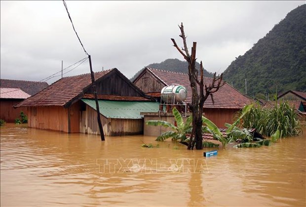 Natural disasters developing complicatedly, unpredictably this year: forecaster hinh anh 1