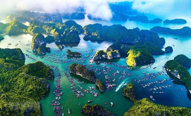 Huge potential for Vietnam to promote blue economy hinh anh 1