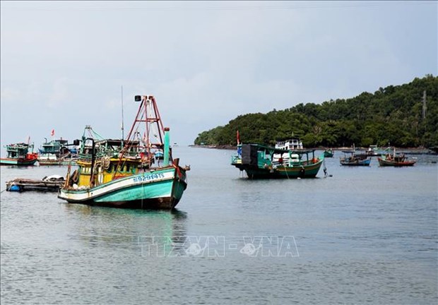 Huge potential for Vietnam to promote blue economy hinh anh 2