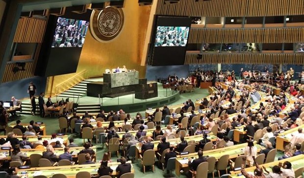Vietnam becomes Vice President of UN General Assembly hinh anh 1
