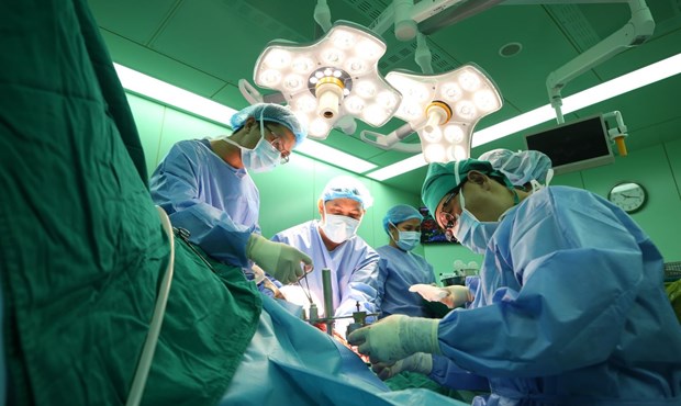 Twenty-three hospitals qualified for organ transplantation in Vietnam hinh anh 1