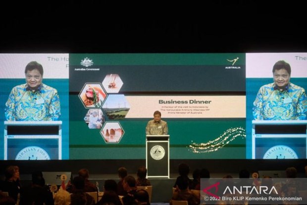 Indonesia, Australia to promote clean energy investment hinh anh 1