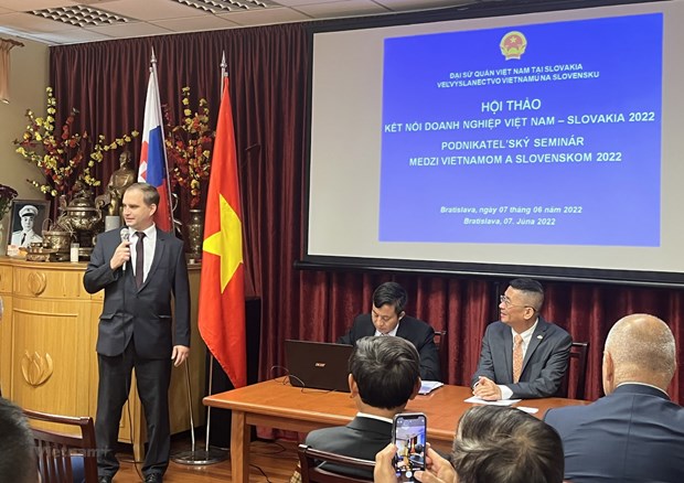 Seminar seeks to promote Vietnam-Slovakia trade hinh anh 1