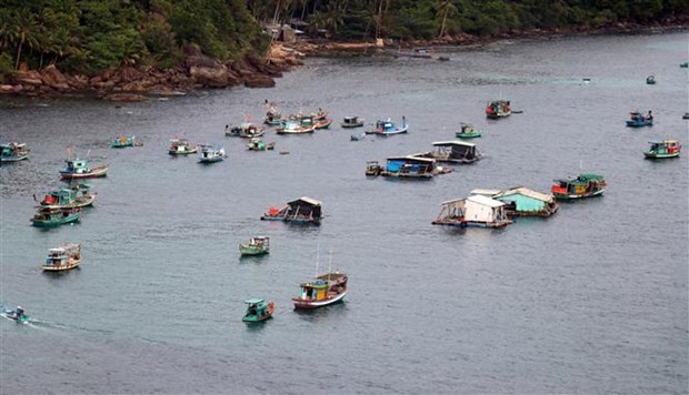 Kien Giang channels resources into fishery infrastructure development hinh anh 1