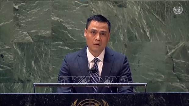 Vietnam supports efforts on denuclearisation on Korean peninsula: ambassador hinh anh 1