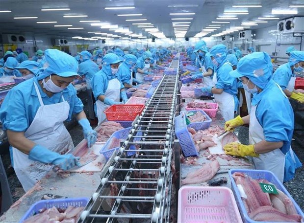 An Giang province strives for annual growth of 7 percent hinh anh 1