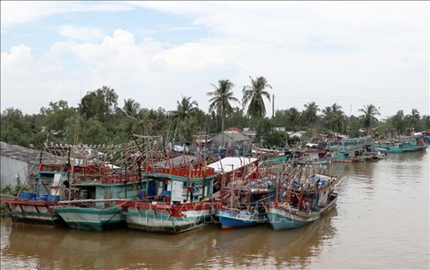 Quang Ninh makes progress to remove EC fishing 