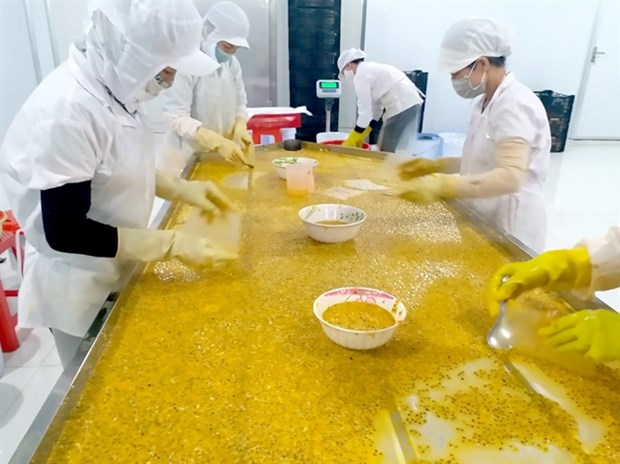 Food exporters urged to evolve to tap into large markets hinh anh 1