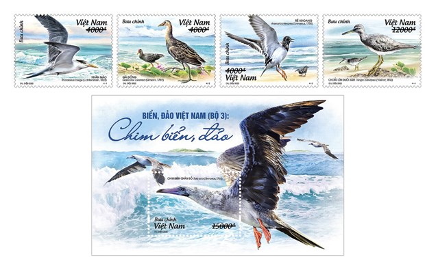 Postage stamps featuring sea birds to be issued hinh anh 1