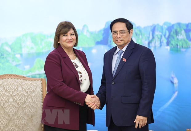 Prime Minister receives ambassadors of Egypt, Mongolia hinh anh 1