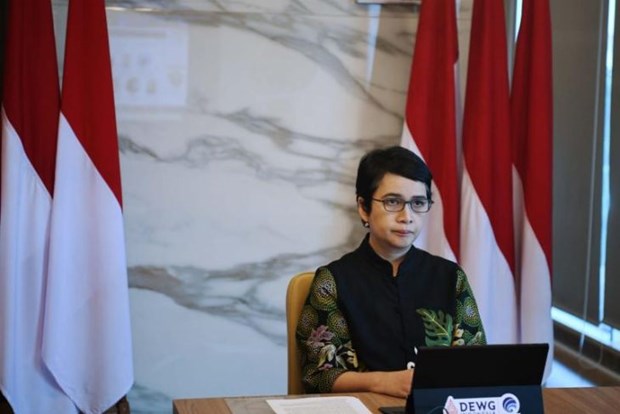 Indonesia focuses on accelerating digital transformation in four sectors hinh anh 1