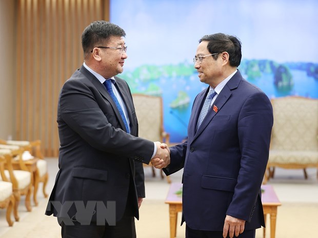 Prime Minister receives ambassadors of Egypt, Mongolia hinh anh 2