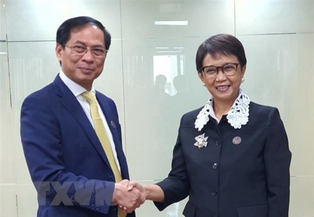 Vietnam, Indonesia, Brunei agree to bolster ties hinh anh 1