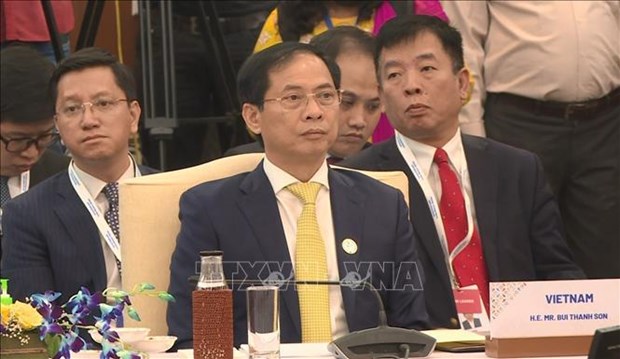 Vietnamese FM attends Special ASEAN - India Foreign Ministers' Meeting hinh anh 1