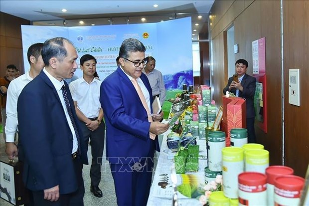 Workshop seeks to boost Lai Chau’s tea exports hinh anh 1