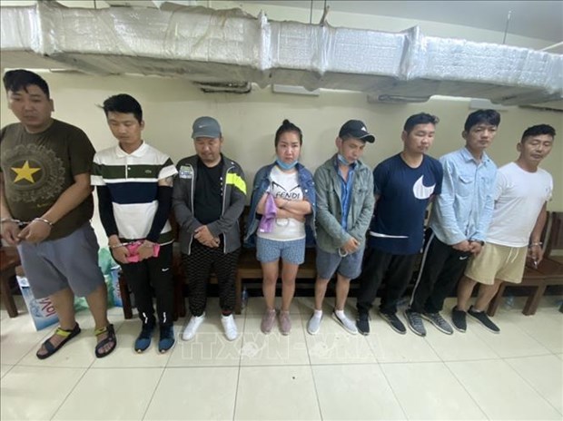 Legal proceedings launched against seven Mongolian nationals for stealing property hinh anh 1