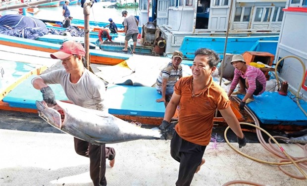 Community-based groups help prevent illegal fishing hinh anh 1