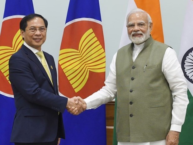 Vietnam, India agree to foster effective, substantial partnership hinh anh 1
