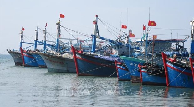 IUU fight yields upbeat outcomes hinh anh 1