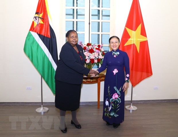 VUFO President suggests Vietnam, Mozambique maximise strengths to deepen friendship hinh anh 1