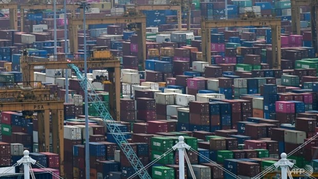 Singapore’s exports grow strongly in May hinh anh 1