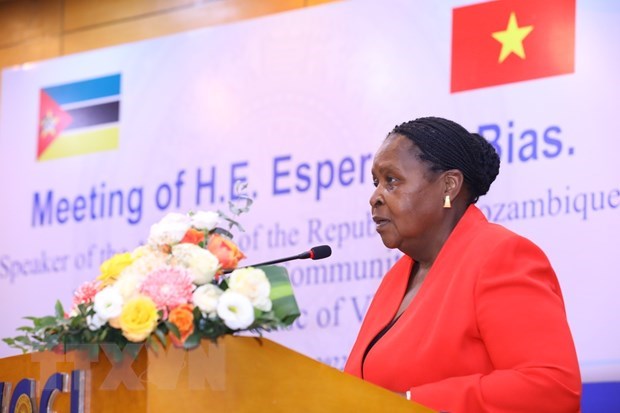 Mozambique – gateway for Vietnamese firms to access Southern Africa hinh anh 1