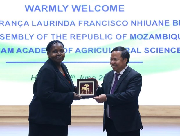 Mozambican guest visits Vietnam Academy of Agricultural Sciences hinh anh 1