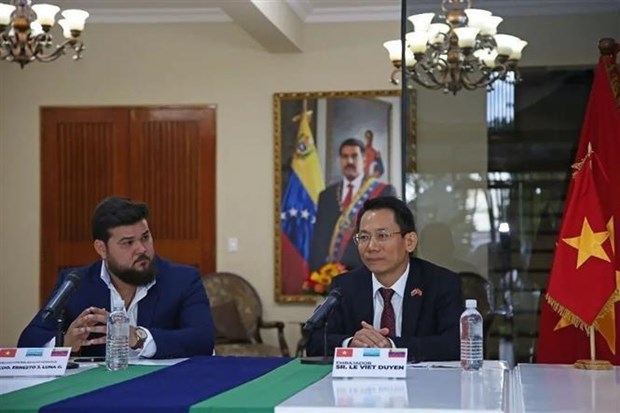 Vietnam steps up cooperation with Venezuelan localities hinh anh 1