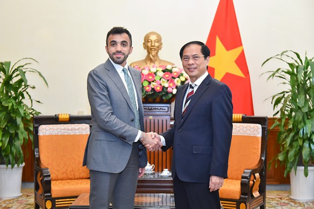 Vietnam forges multi-faceted cooperation with Oman, UAE hinh anh 2