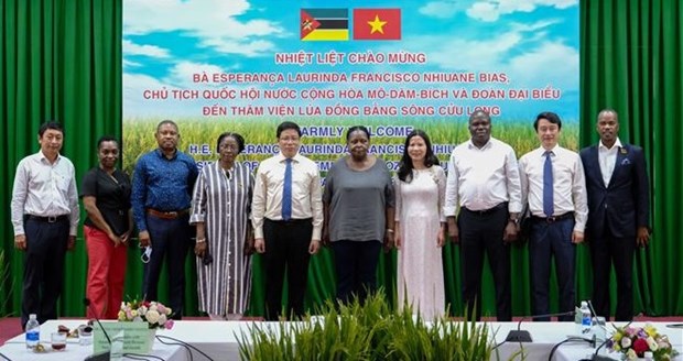 Mozambican guests visit Mekong Delta rice research institute hinh anh 1